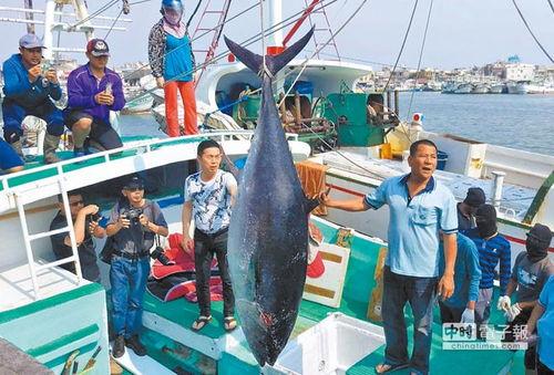 渔民进台湾吃瓜视频,一场别开生面的吃瓜之旅
