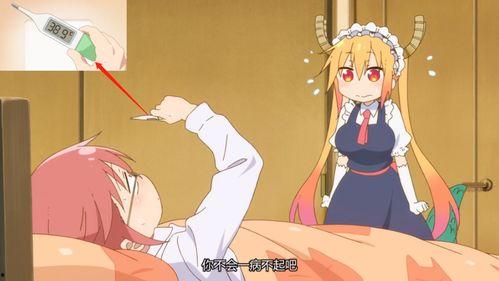 小林吃瓜后续合集视频,后续合集视频精彩回顾