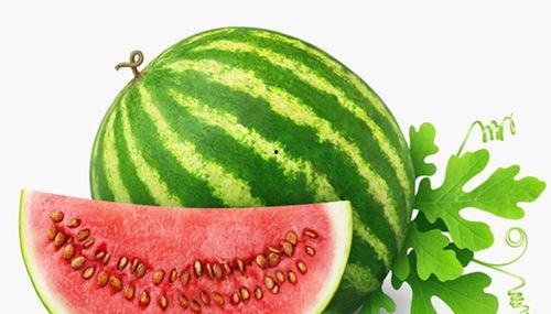 冬天吃籽瓜有意境的视频,暖意盈心间