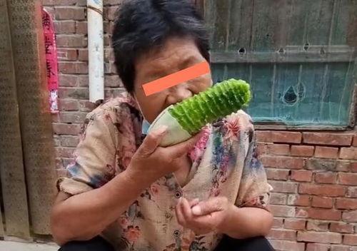 儿子吃瓜视频全集,揭秘瓜界风云，笑料横生全集回顾