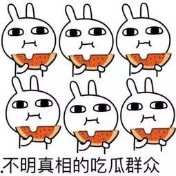 吃瓜发呆视频素材,跟随吃瓜发呆视频，体验轻松愉悦时光