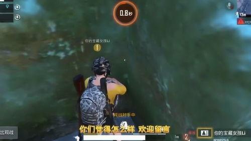 吃瓜高端玩家怎么玩视频,揭秘高端玩家如何玩转视频吃瓜盛宴