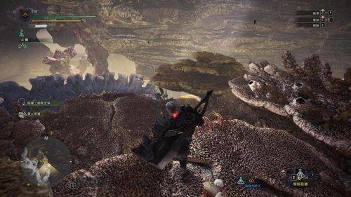 废土猎人吃瓜网视频,揭秘虚拟世界中的生存挑战与趣味互动