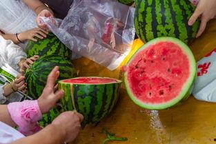江苏徐州吃瓜视频,一网打尽本地特色美食瞬间