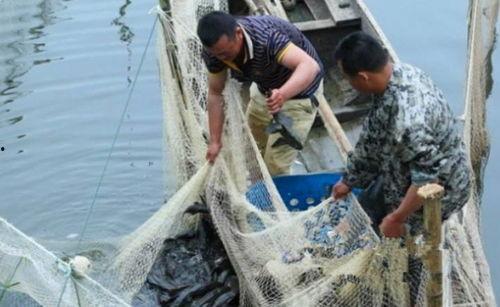 军演渔民吃瓜视频,渔民视角下的“吃瓜”奇观