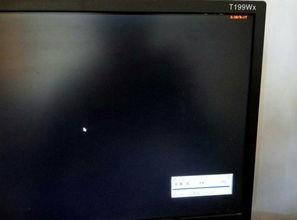 吃瓜视频自动黑屏,揭秘自动黑屏背后的秘密