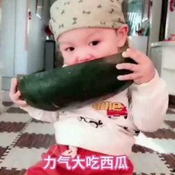 吃瓜吐口水视频,揭秘网络恶搞视频的流行现象