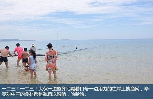 福建平潭吃瓜事件视频,一场引发热议的网络狂欢