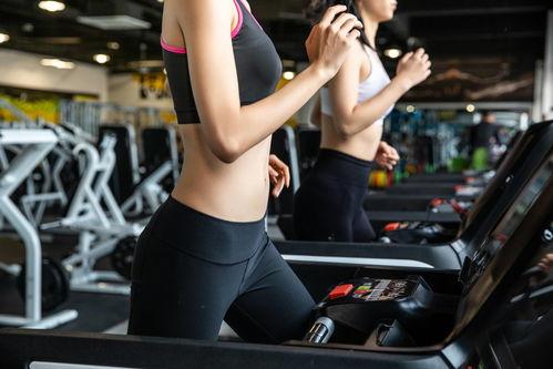 彩塘健身房视频吃瓜,一场视频吃瓜背后的健身风云