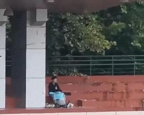 大柱子吃瓜视频,揭秘娱乐圈幕后故事