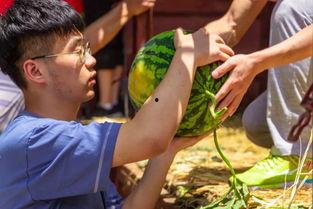 大柱子吃瓜视频,揭秘娱乐圈幕后故事