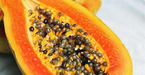 缅北小孩吃瓜视频真实,揭开神秘食文化面纱