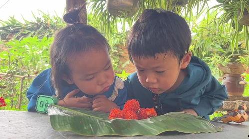 缅北小孩吃瓜视频真实,揭开神秘食文化面纱