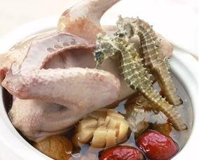 海马吃瓜视频,揭秘海洋生物的趣味食性