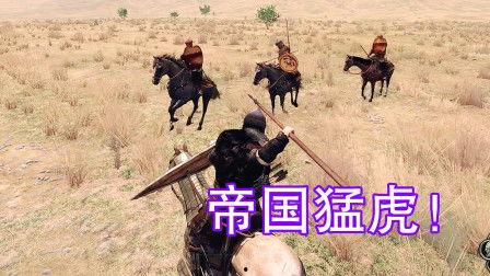 骑马吃瓜视频大全集,趣味横生短视频盛宴