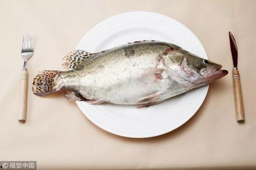 瓜宝鱼怎么吃最好视频讲解,视频详解最佳食用方法