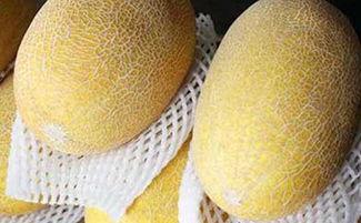 如何吃切哈密瓜好吃视频,切哈密瓜的绝妙吃法，美味升级！