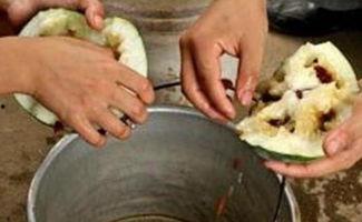 红色瓜种子可以吃吗视频,揭秘可食用之谜