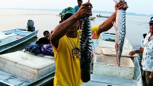 渔民开船吃瓜视频播放