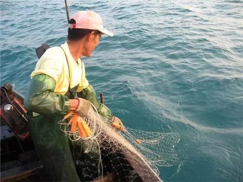 渔民开船吃瓜视频播放