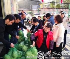 宁强县吃瓜群众事件视频,一场网络舆论的风暴与反思