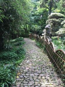 虞山森林公园吃瓜视频,夏日休闲新风尚