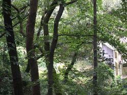 虞山森林公园吃瓜视频,夏日休闲新风尚