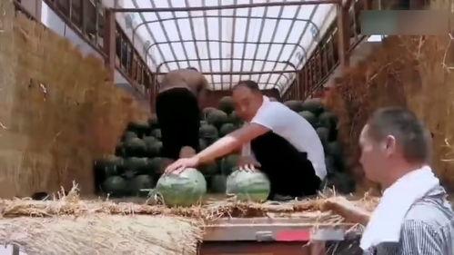 蒙古学校吃瓜事件视频