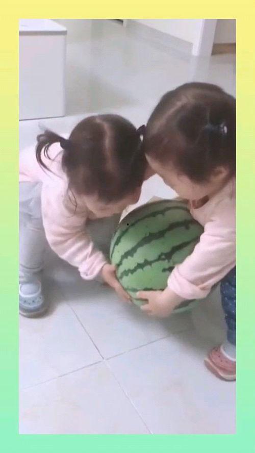 小家伙吃的啥瓜好吃啊视频,揭秘哪款瓜最美味