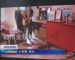 吃瓜蒙主视频内容真假,视频内容真假大揭秘