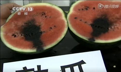 实时吃瓜视频在哪里看到的,实时吃瓜视频的神秘来源