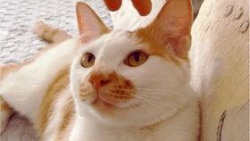 吃瓜视频风格,那些你不知道的幕后故事，吃瓜群众必看！