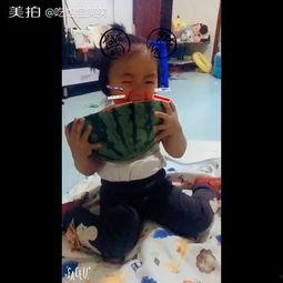 吃瓜视频资源婴儿瓜,吃瓜视频里的婴儿瓜萌态百出
