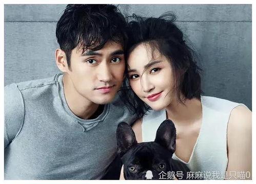 明星爆料吃瓜视频,揭秘娱乐圈背后的真实吃瓜瞬间