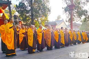 嵩山少林寺吃瓜视频,揭秘僧侣日常饮食之谜