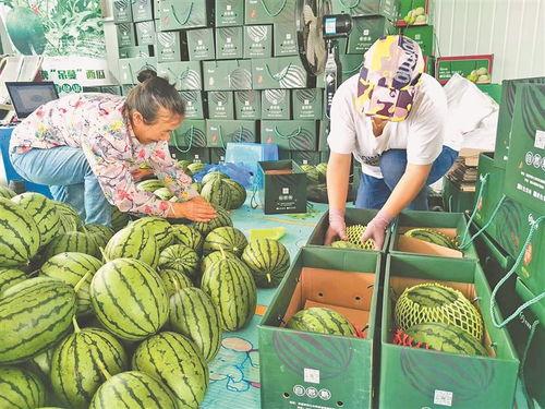 项城近期吃瓜视频,揭秘当地热点事件背后的真相