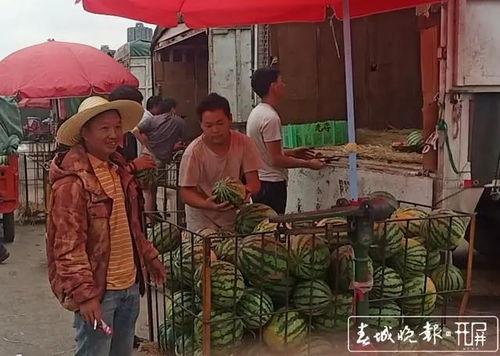 招远吃瓜群众新闻事件视频,一场引发社会关注的街头冲突