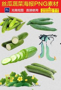 番瓜网吃瓜视频下载安装