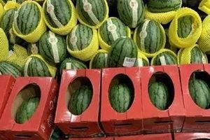 河南学生比赛吃瓜视频大全,趣味横生的校园美食盛宴