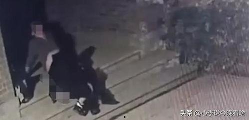 机智吃瓜视频完整版,揭秘娱乐圈幕后真相，带你领略明星们的真实生活