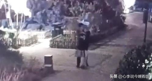 机智吃瓜视频完整版,揭秘娱乐圈幕后真相，带你领略明星们的真实生活