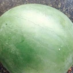 西瓜新人吃瓜视频,趣味吃瓜视频走红网络