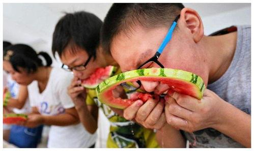 西瓜新人吃瓜视频,趣味吃瓜视频走红网络