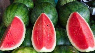 商丘夏邑吃瓜事件视频,一场引发热议的网络视频风波