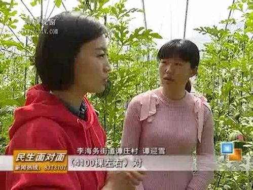 魏湾林庄吃瓜视频全集,揭秘幕后真相，带你走进事件全貌