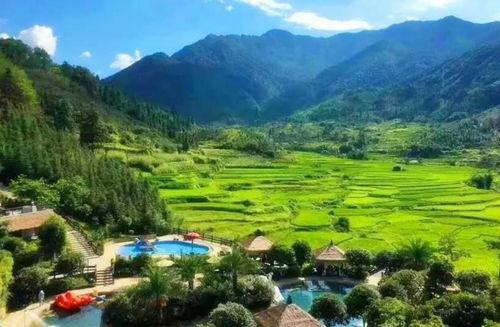 魏湾林庄吃瓜视频全集,揭秘幕后真相，带你走进事件全貌