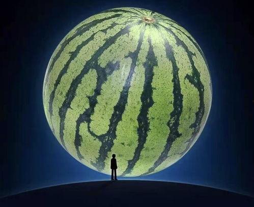 八卦吃瓜视频表演教程下载,轻松掌握热门视频制作技巧