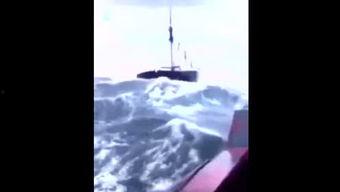 胖达吃瓜视频在线观看