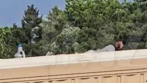 特朗普吃瓜民众视频,一场意外的街头互动